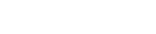 flying logo